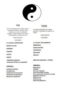 EMOTIONS BLOQUES ET QUILIBRE DES MERIDIENS YIN YANG