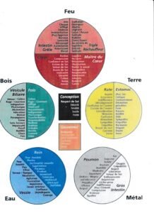 LES 5 ELEMENTS RELATION ENTRE ORGANES ET EMOTIONS