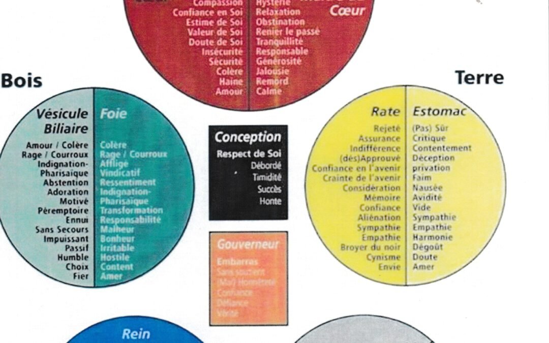 LES  RELATIONS PROFONDES ENTRE ORGANES ET EMOTIONS EN MEDECINE CHINOISE