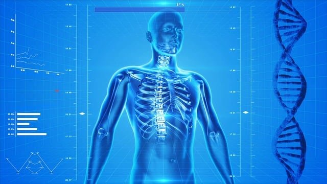 Les Émotions dans le Corps : Une Approche Neuro Kinésiologique